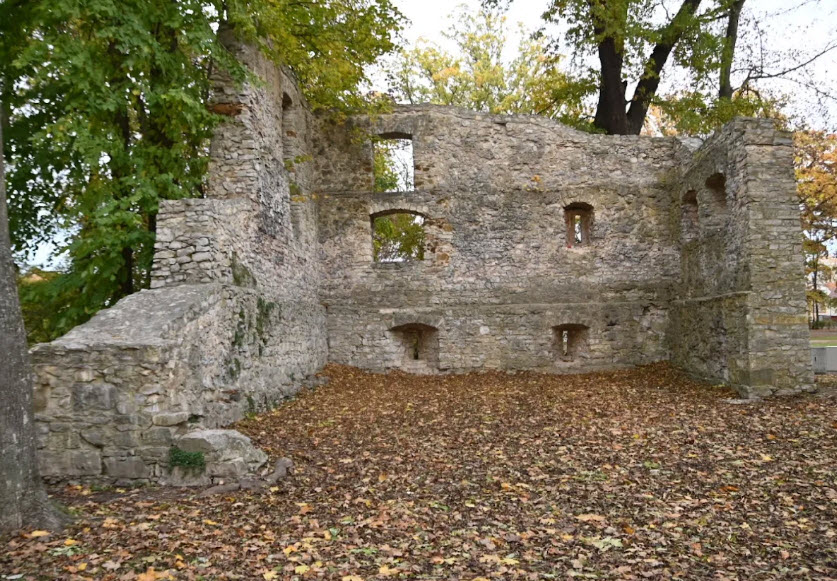 Teublitzer Schlossruine, Germany